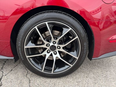 2019 Ford Mustang GT Premium