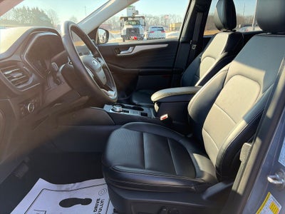 2025 Ford Escape Hybrid Platinum