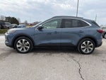 2025 Ford Escape Hybrid Platinum