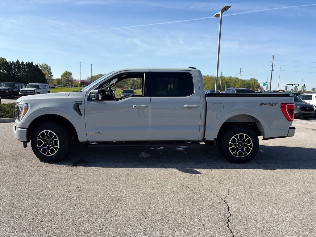 2023 Ford F-150 XLT