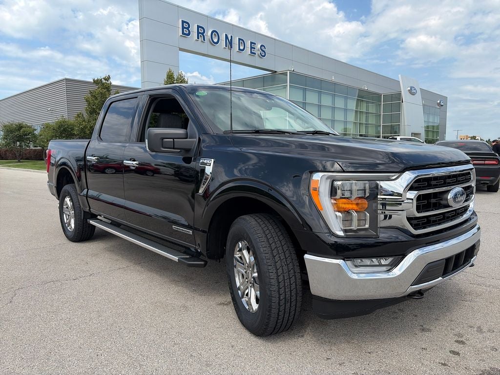 2023 Ford F-150 XLT