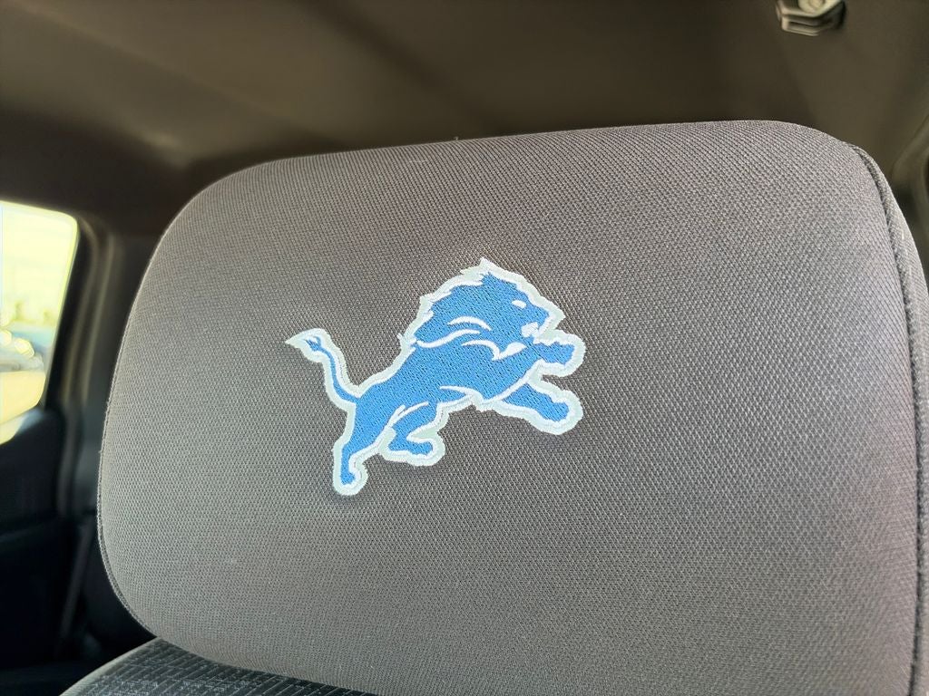 2024 Ford F-150 XLT Detroit Lions Themed