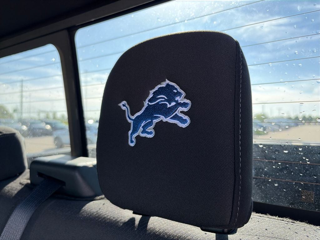 2024 Ford F-150 XLT Detroit Lions Themed