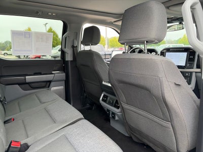 2024 Ford F-150 XLT 3.5 PowerBoost