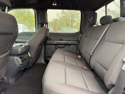 2024 Ford F-150 XLT Detroit Lions Edition