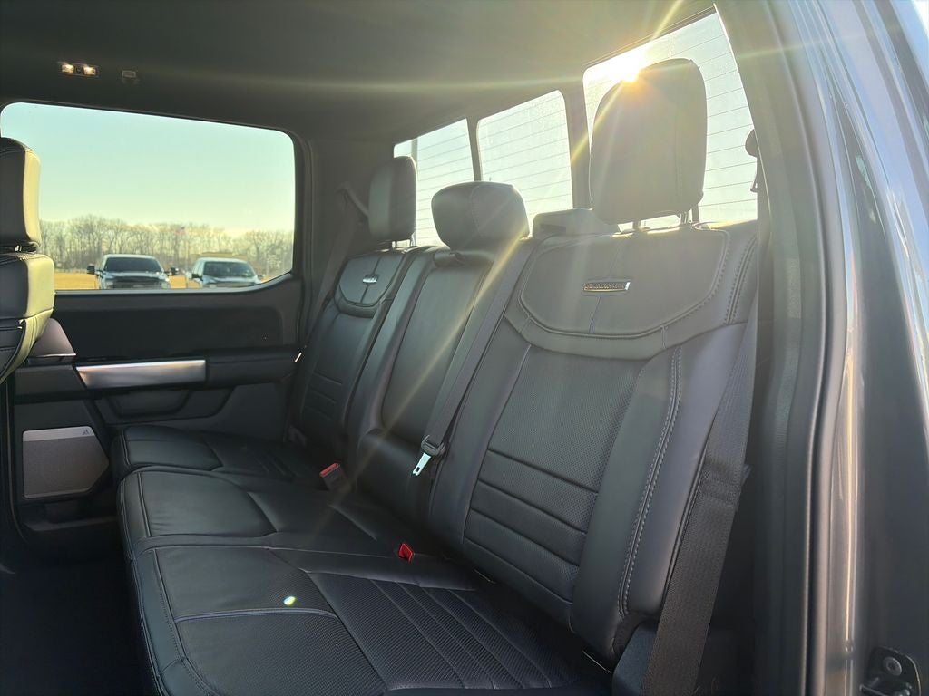 2025 Ford F-150 Platinum